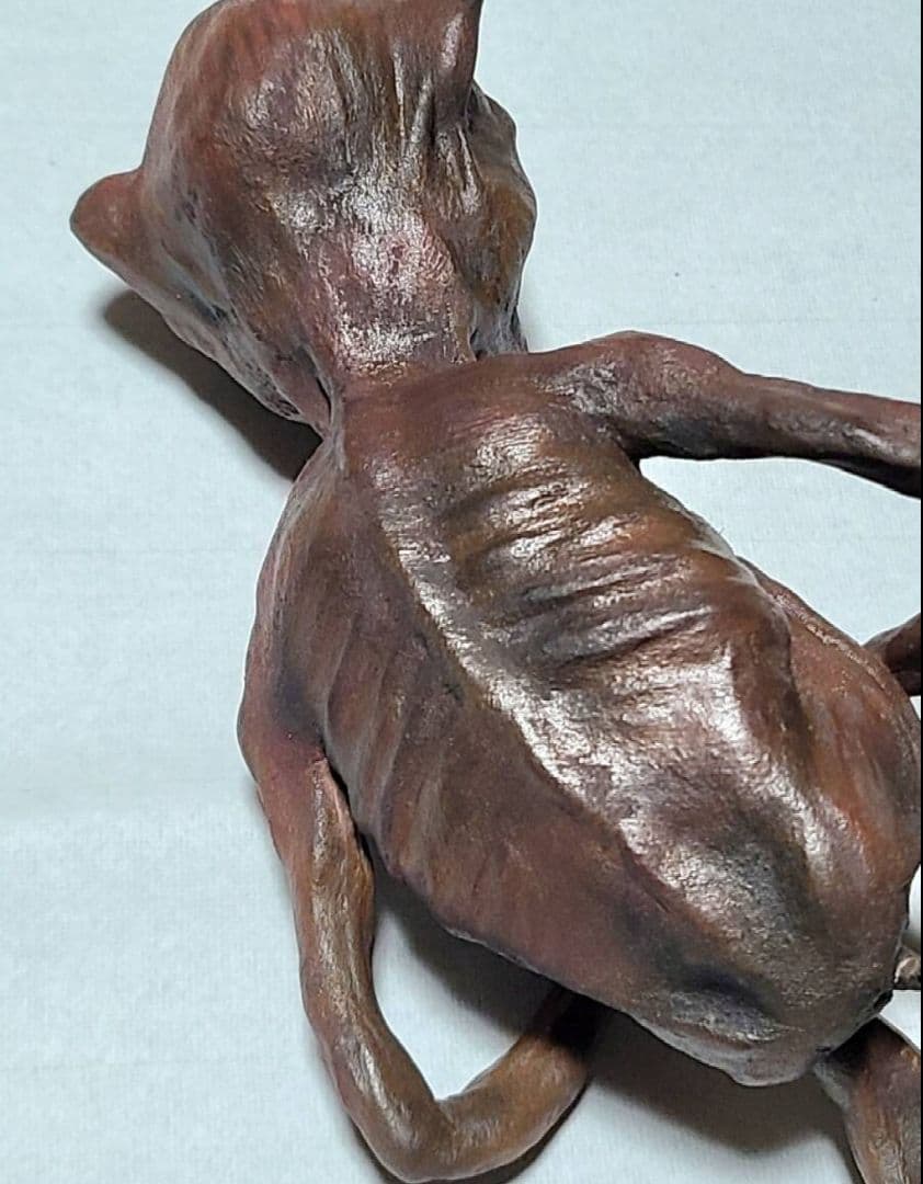 一点物 妖怪 洗馬山童子 せんばやまどうじ 赤鬼 ミイラ 怪奇標本