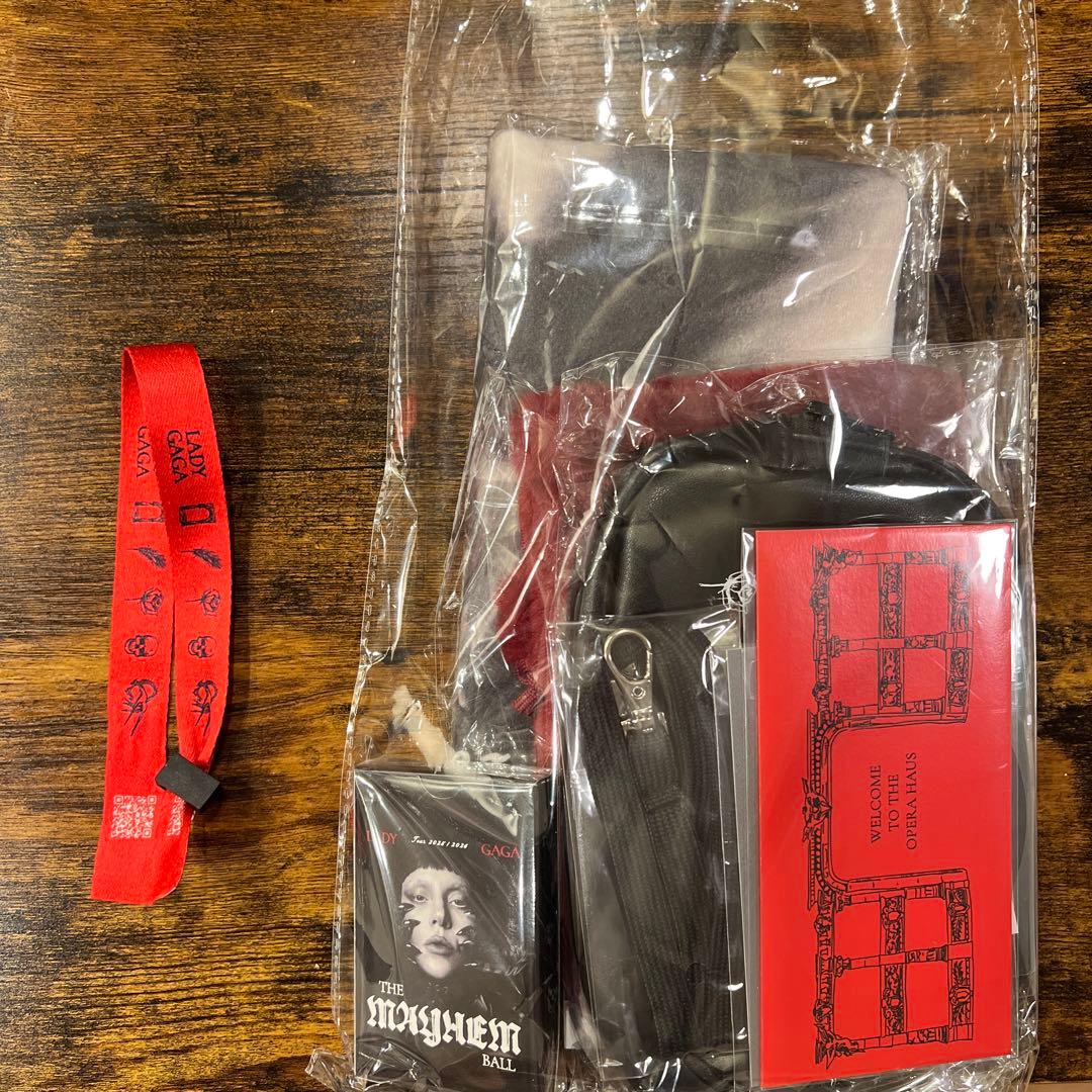 VIP GOLD特典フルセットLADY GAGA MAYHEM