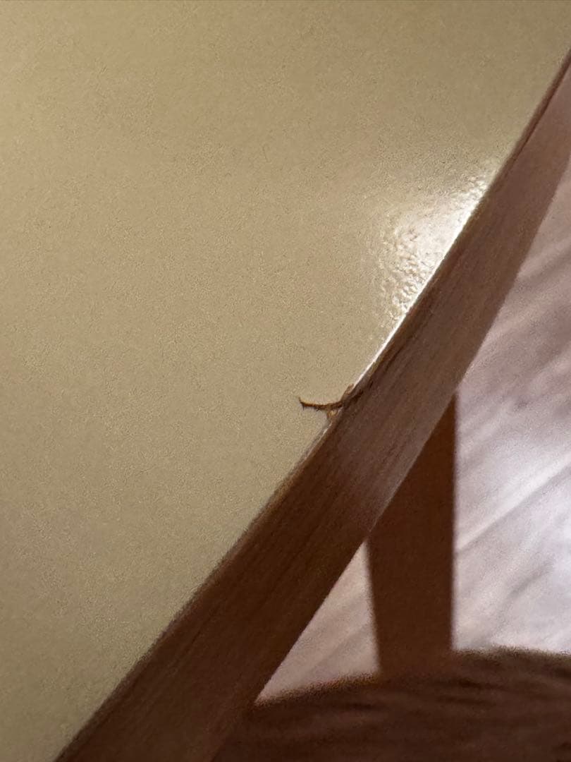 ぷ*ん様 IDEE CHAIR by Marina ラウンドテーブル 直径105 - メルカリ