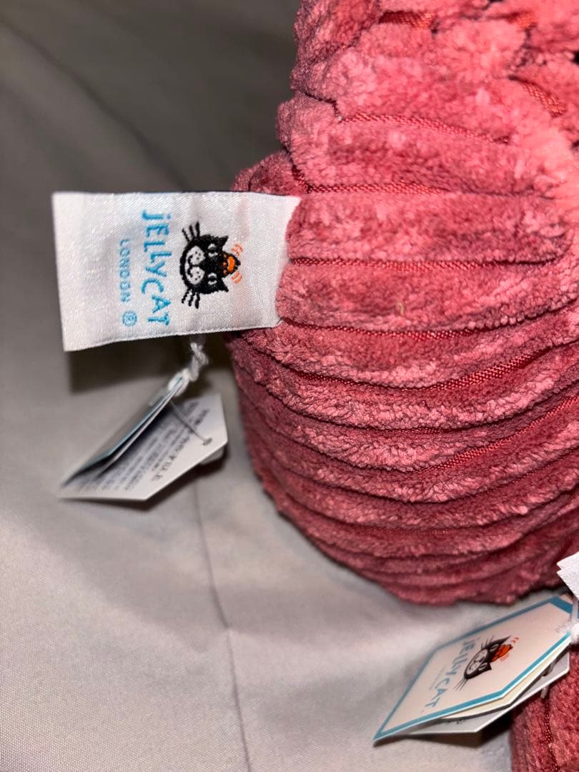 ジェリーキャット　ロブスター　エビ　セット