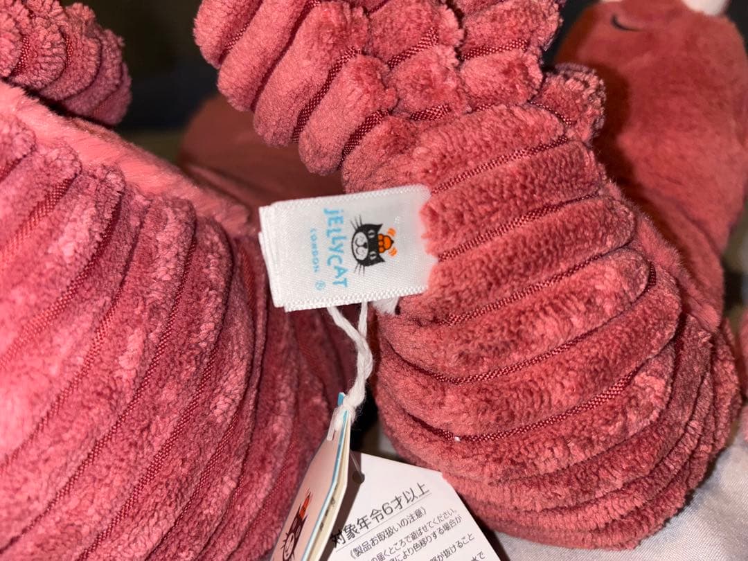 ジェリーキャット　ロブスター　エビ　セット