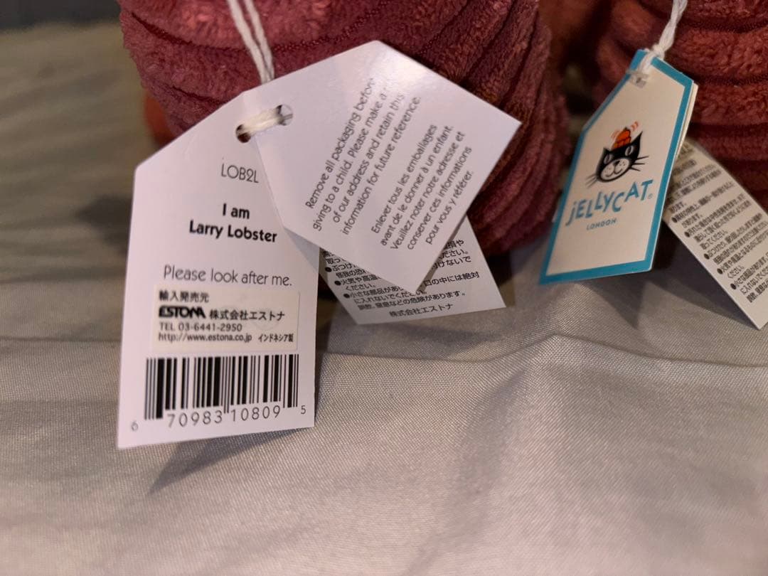 ジェリーキャット　ロブスター　エビ　セット