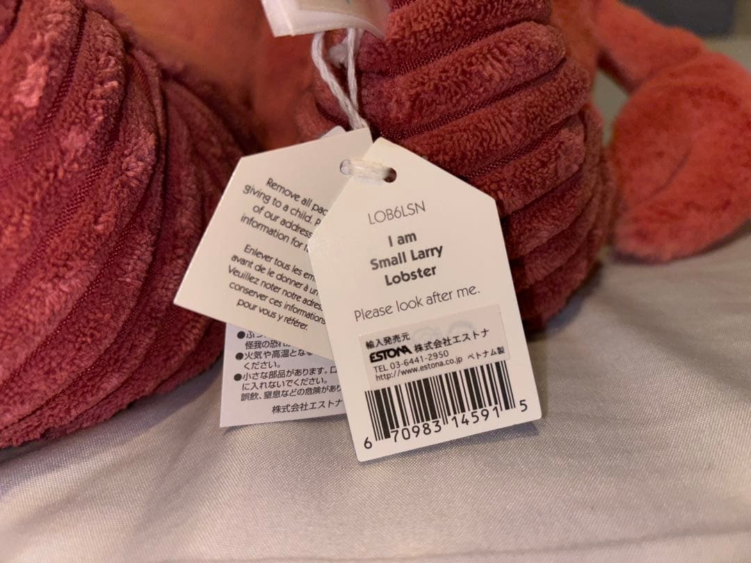 ジェリーキャット　ロブスター　エビ　セット