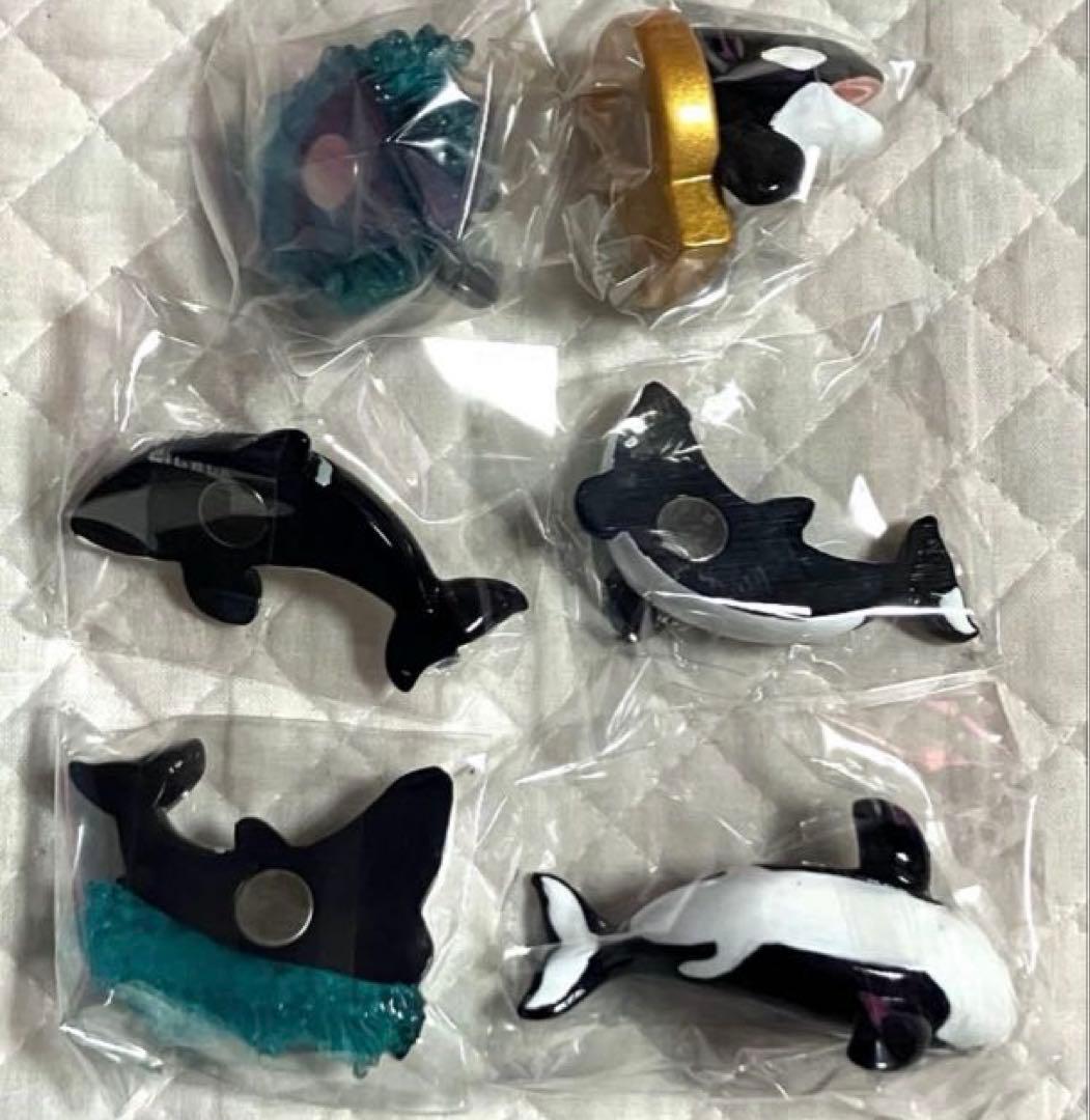 レア　鴨川シーワールド　ランダム　マグネット　シャチ