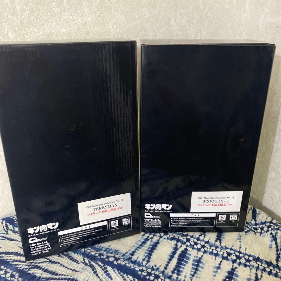 キン肉マン　フィギュア　テリーマン　ブロッケンJr. ccp