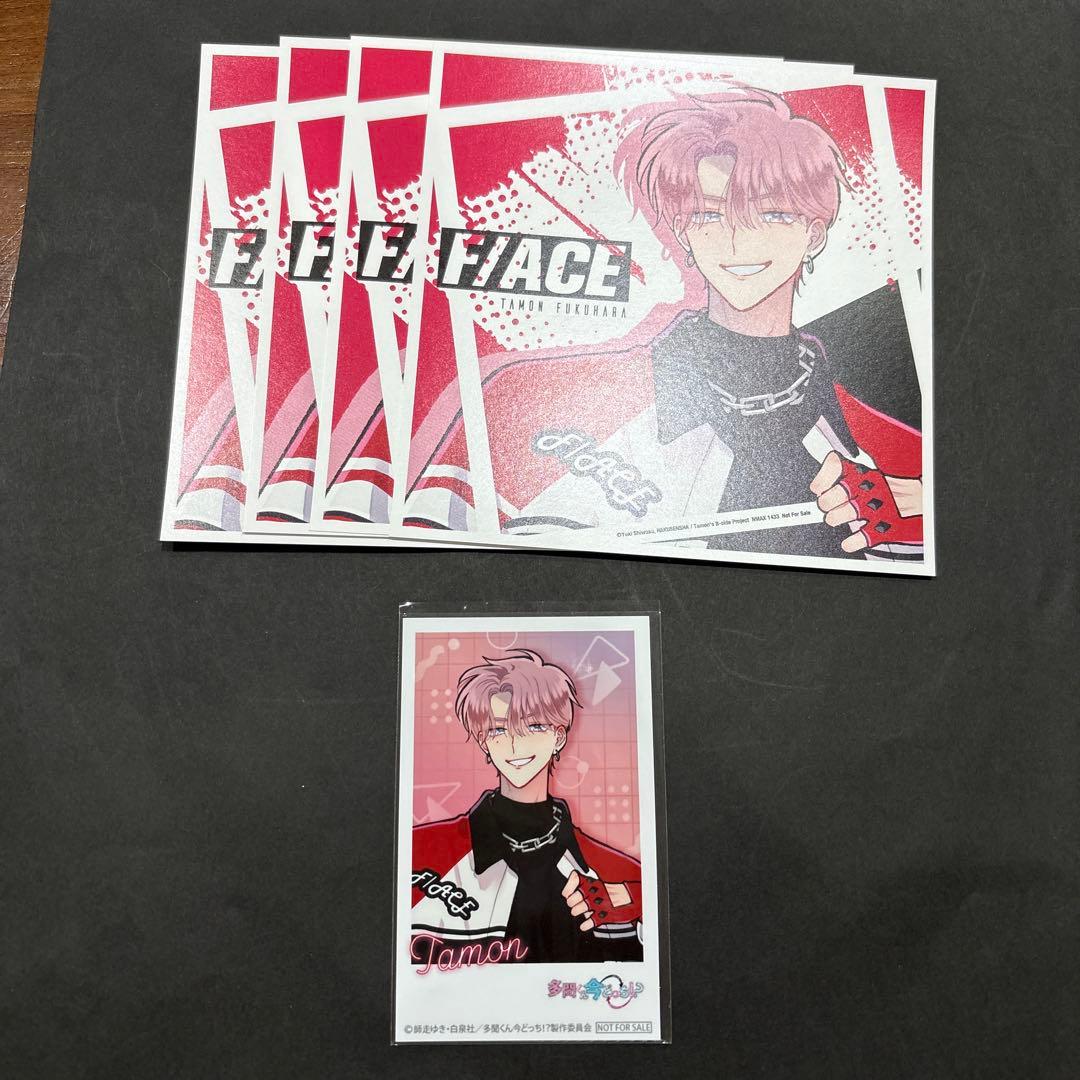 福原多聞 多聞くん今どっち！？ cd 特典5点セット（バラ売り有り