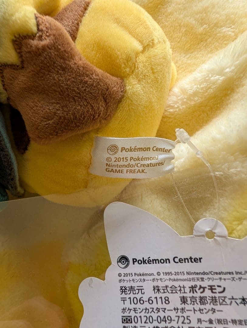 週末限定値下げ　メガリザードンXのポンチョを着たピカチュウ　ぬいぐるみ