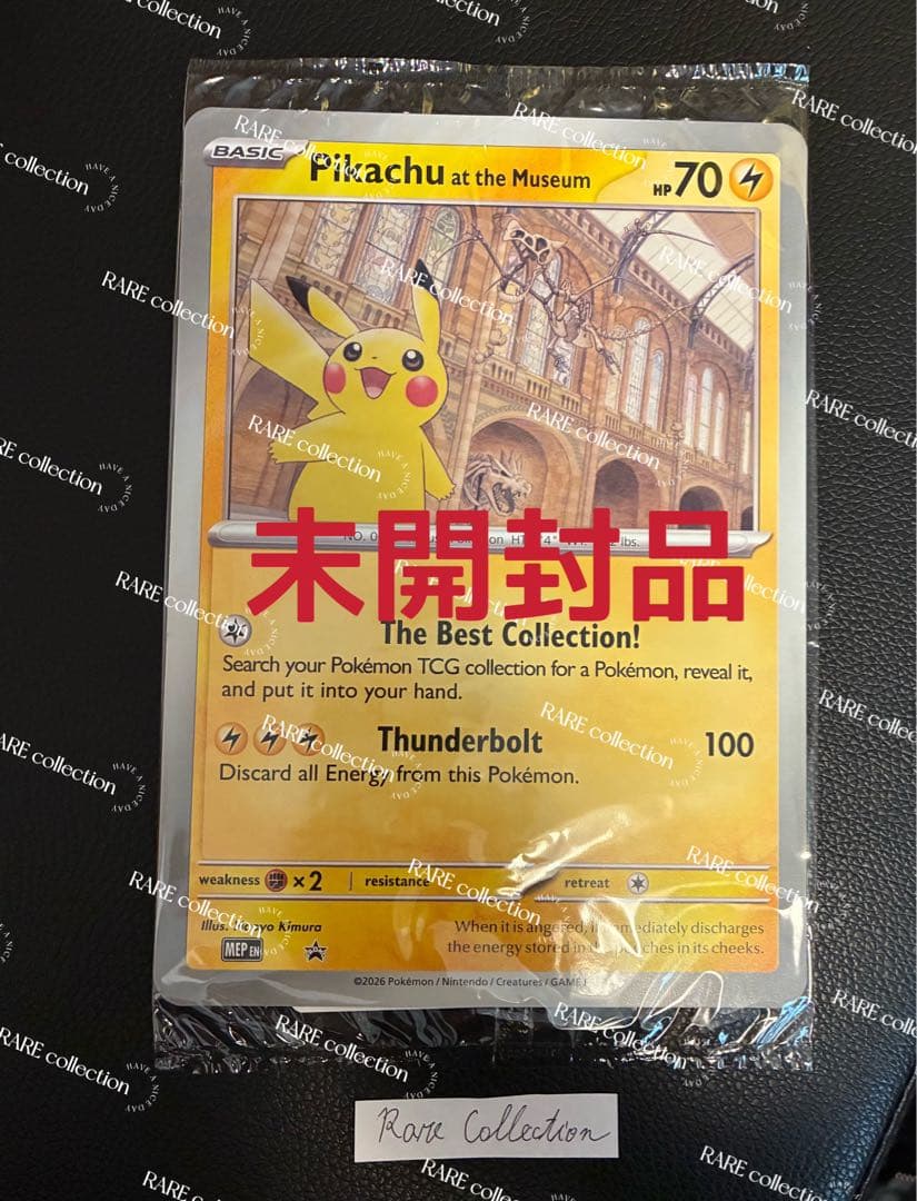 Pikachu at the Museum ピカチュウ ロンドン自然史博物館24 - メルカリ