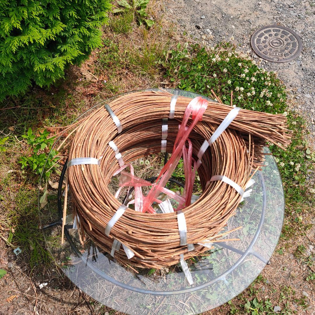 みっくん　青森県岩木山採取　あけび蔓　150cm～　練習用　3kg 山形県 JAさがえ西村山 朝日町あけび生産組合 あけび 秀品 2LからS