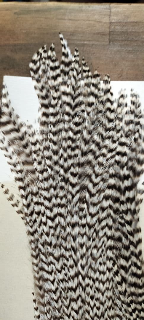 METZグリズリー＆Spencer's Hacklesセット フライ用ハックル - メルカリ