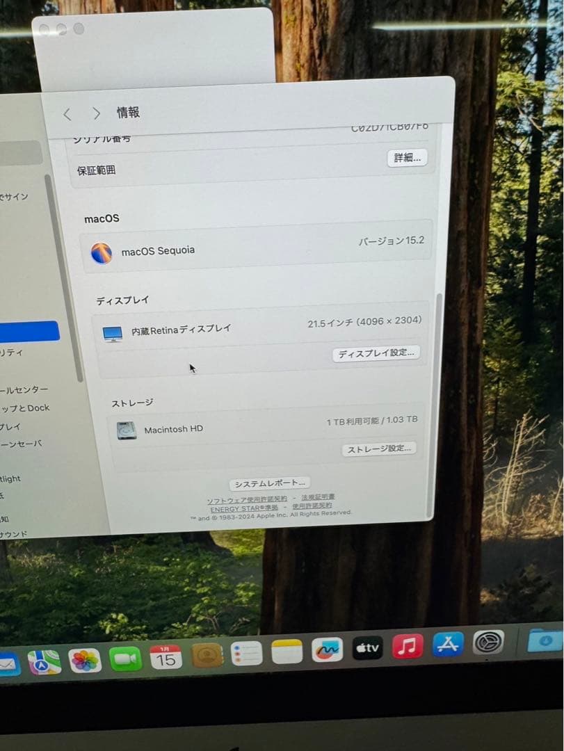iMac 4K 21.5インチ 2019 3.0GHz i5 16GB 1TB