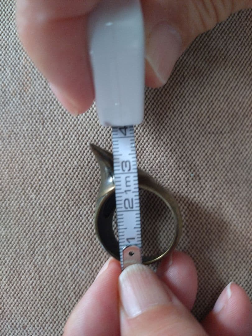 ビューティビースト シルバーコーティング薔薇の棘デザインのリング