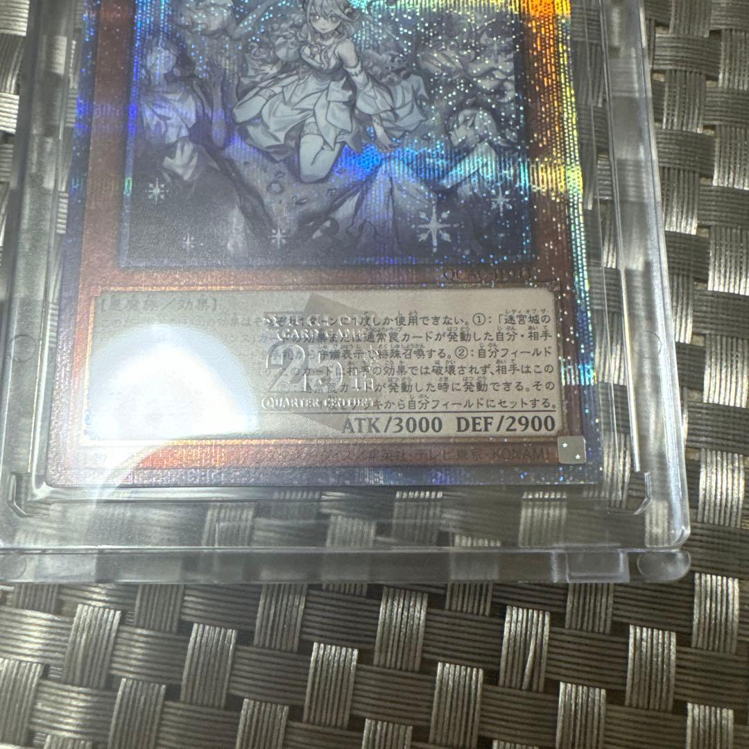 迷宮の白銀姫クォーターセンチュリー絵違い