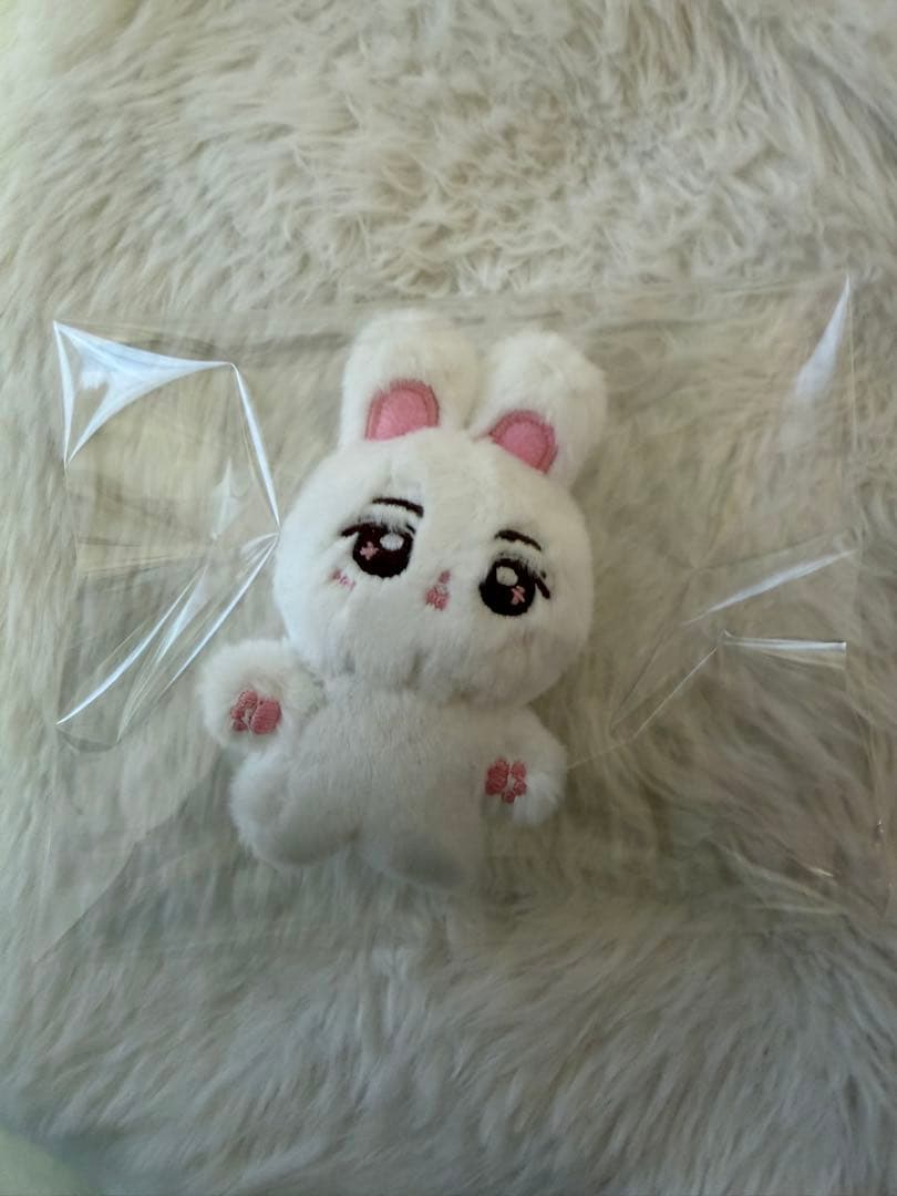 ALD1 サンウォン 10cm ぬいぐるみ 상몽몽 - メルカリ