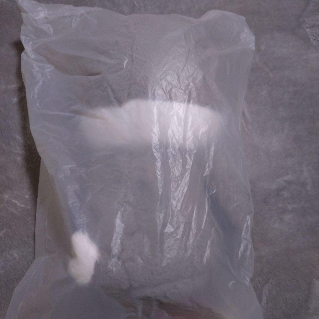 StrayKids　ウルフチャン　テディベア　SKZOO　スキズ