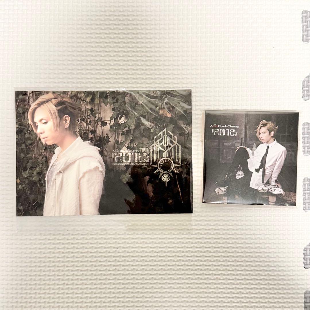 acid black cherry クリアファイル/ポストカード/メモ/パンフ