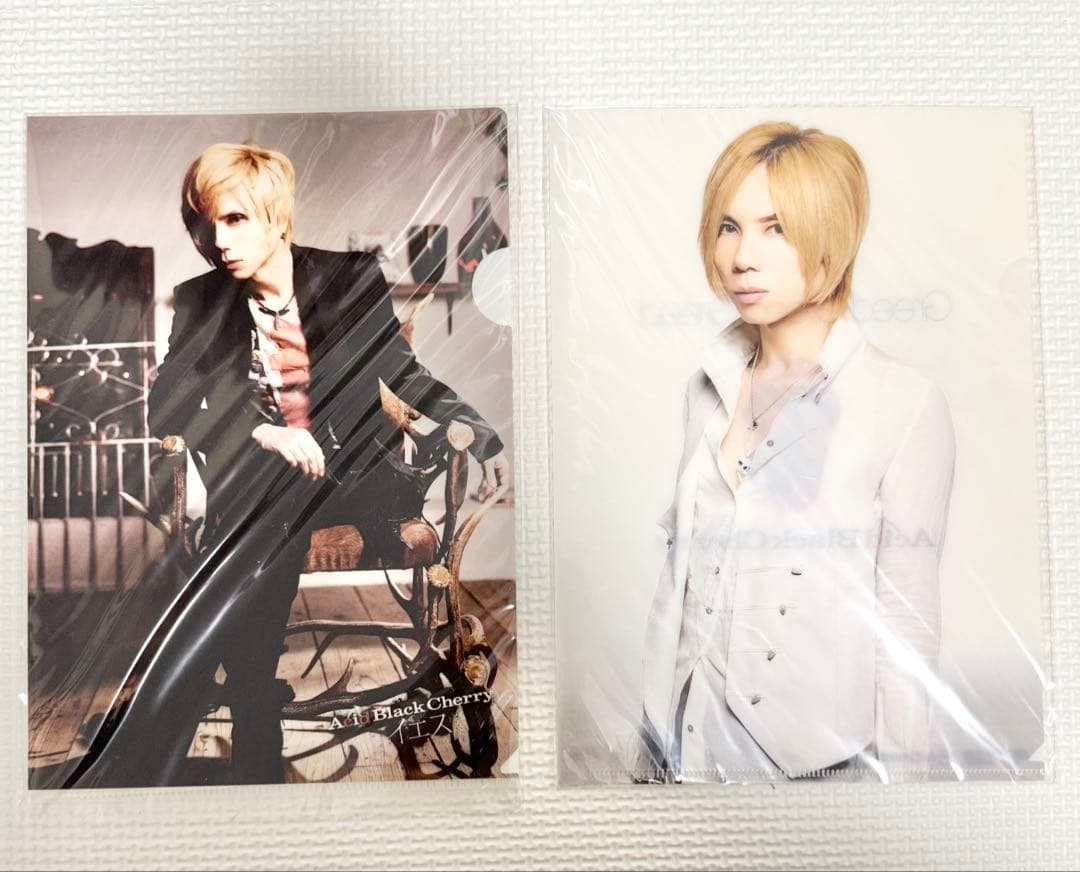 acid black cherry クリアファイル/ポストカード/メモ/パンフ