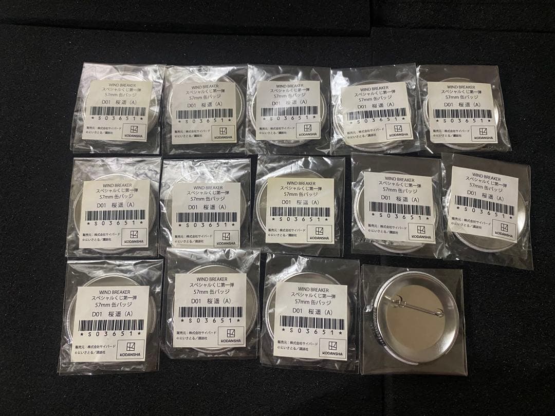 WINDBREAKER スペシャルくじ 第1弾 桜遥缶バッジ