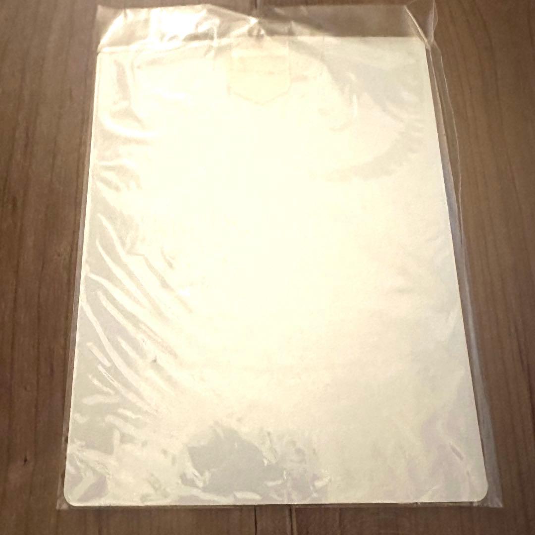 激レアBUMP OF CHICKEN FLAME VEIN店頭用ポップ