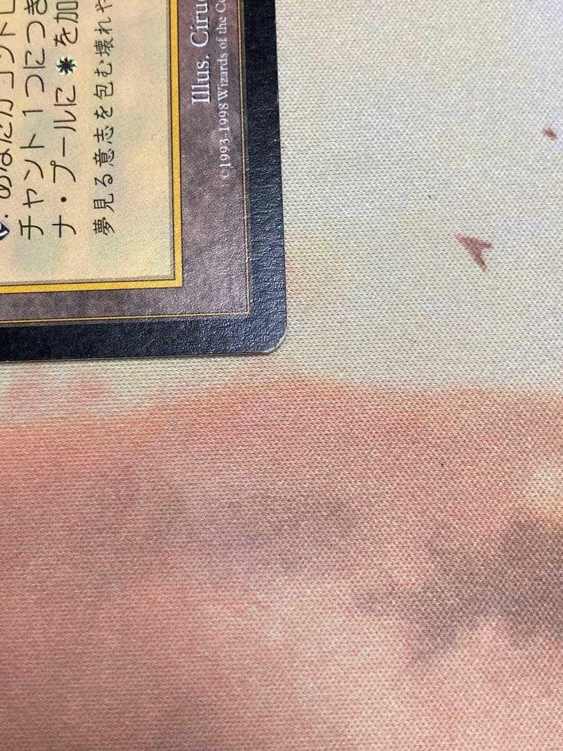 セラの聖域　Serra's Sanctum 専用品