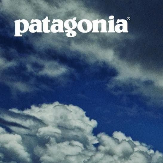 額装品/Protect Your Break（パタゴニア）/アートポスター - メルカリ