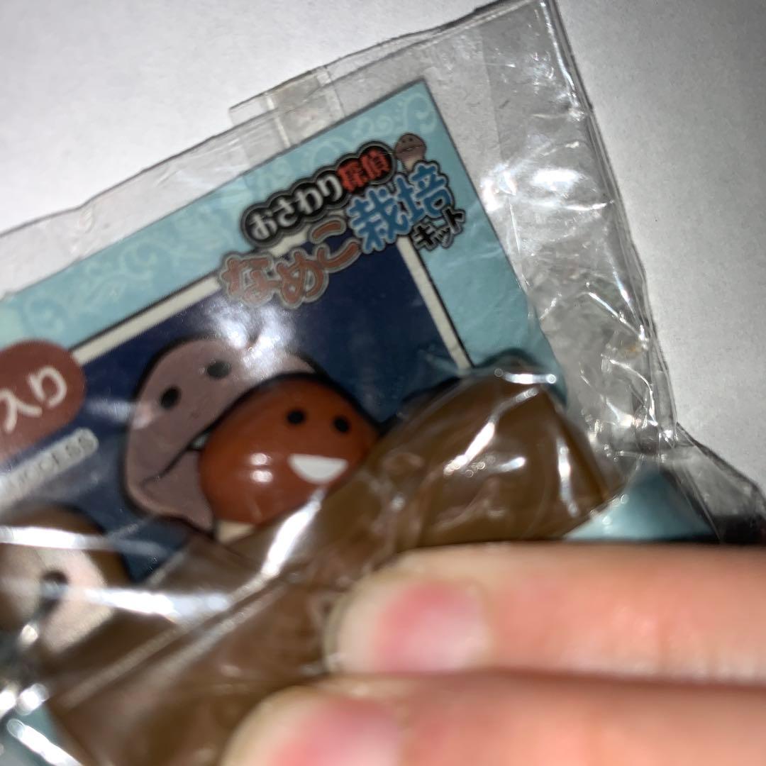 なめこ栽培キットストラップ なめこご当地根付け - メルカリ