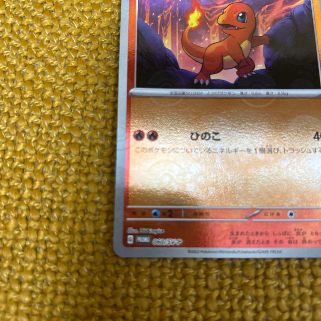 ポケモン 151カードファイルセットプロモ ヒトカゲ ゼニガメ