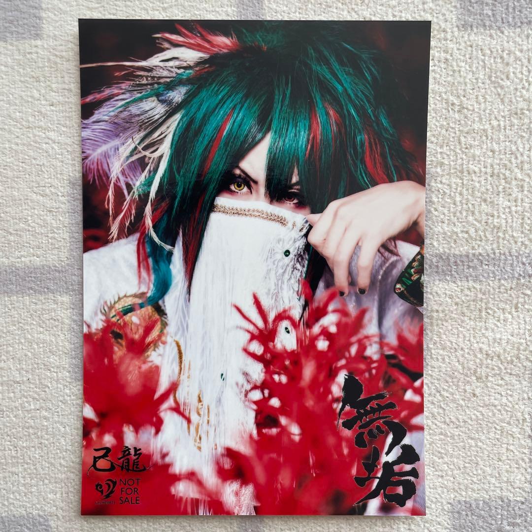 己龍 無垢 アー写 - メルカリ