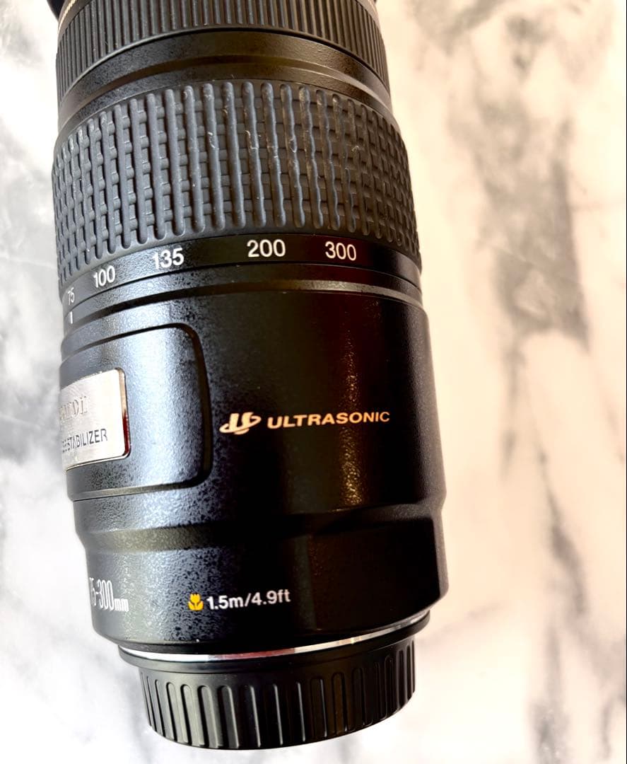 キヤノン Canon EF 75-300mm F/4-5.6 USM手ぶれ補正付