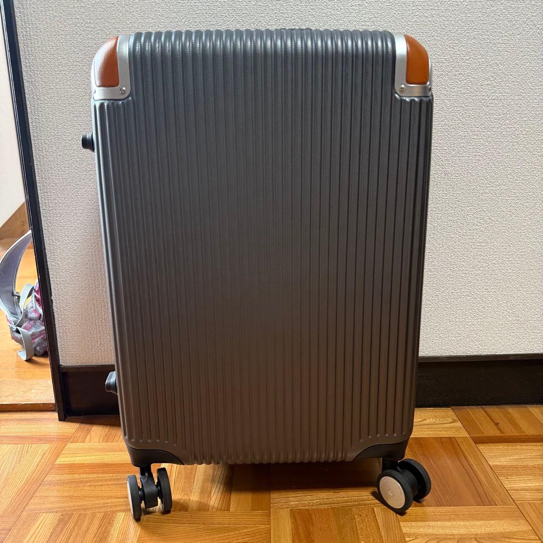 【展示品】SWISS MILITARY 機内持ち込みサイズ　キャリー　38.5L