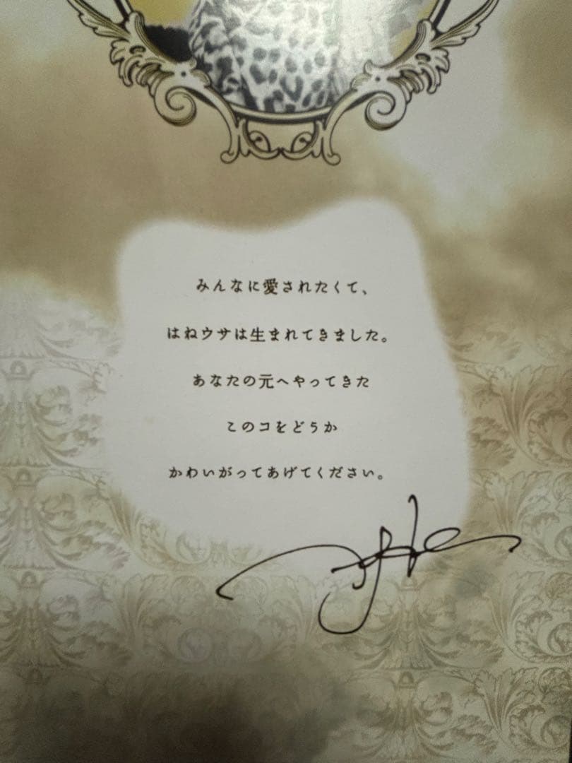 HYDE × Toy'sField USAGI ～HANE USA～