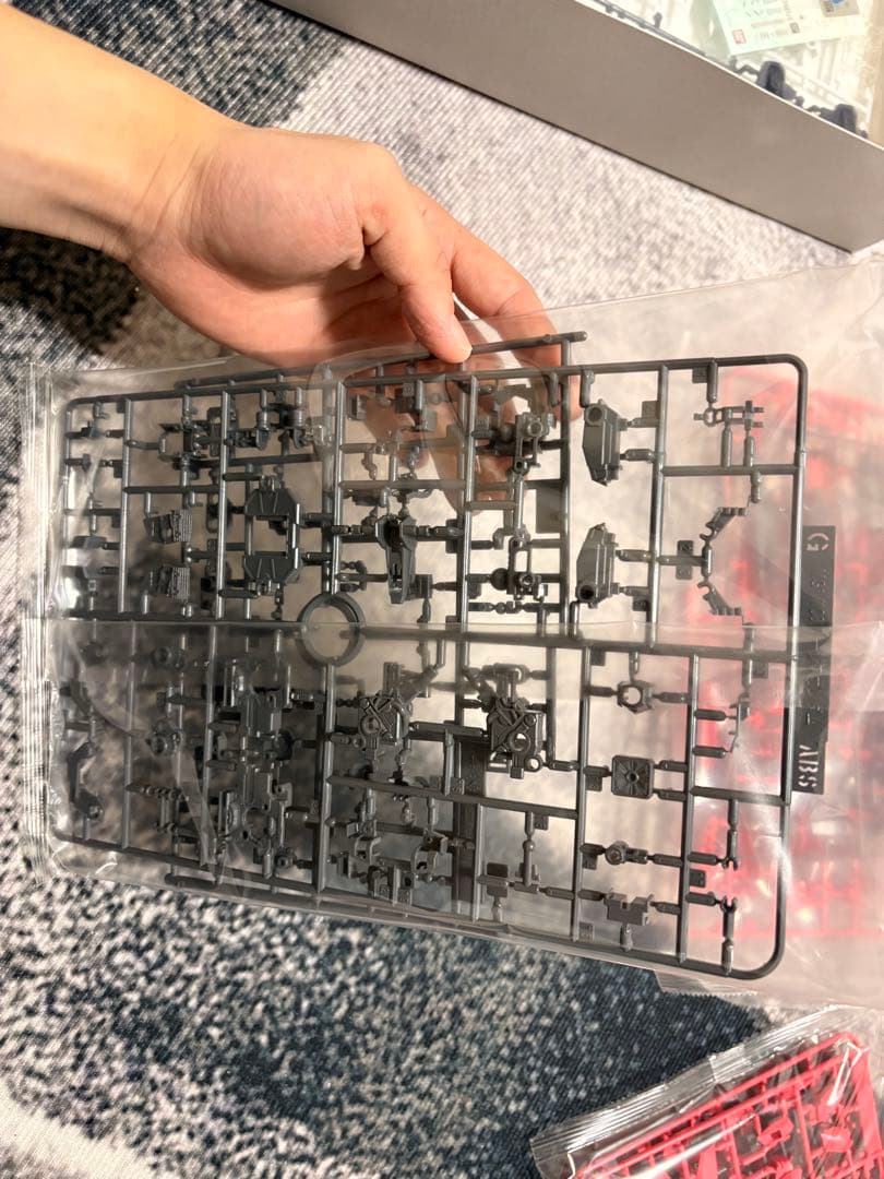 MG イージスガンダム　未組立