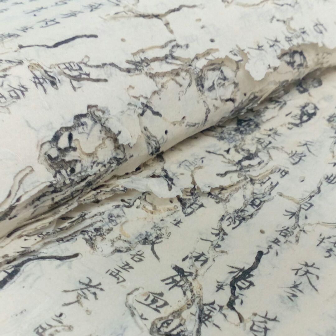 阿波國蔵出江戸時代文政年間直筆漢方医学古文書凄まじい虫喰い残骸ジャンク扱い当時物