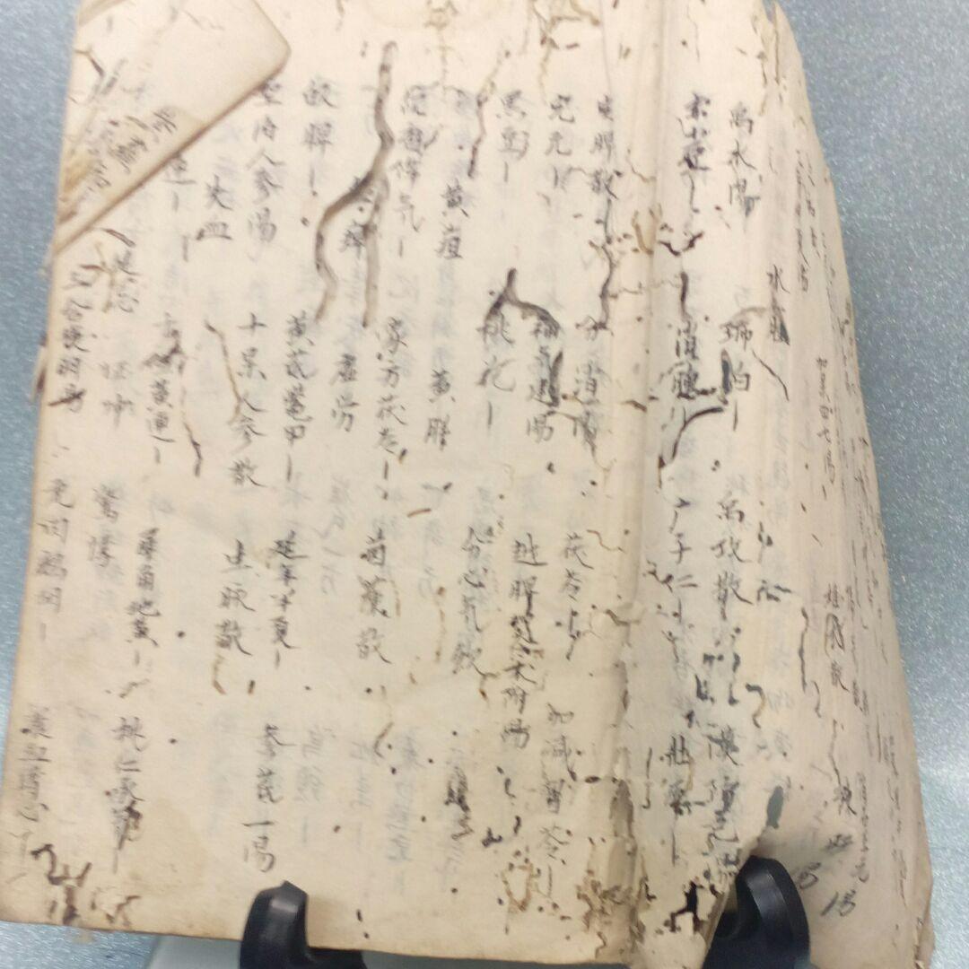 阿波國蔵出江戸時代文政年間直筆漢方医学古文書凄まじい虫喰い残骸ジャンク扱い当時物