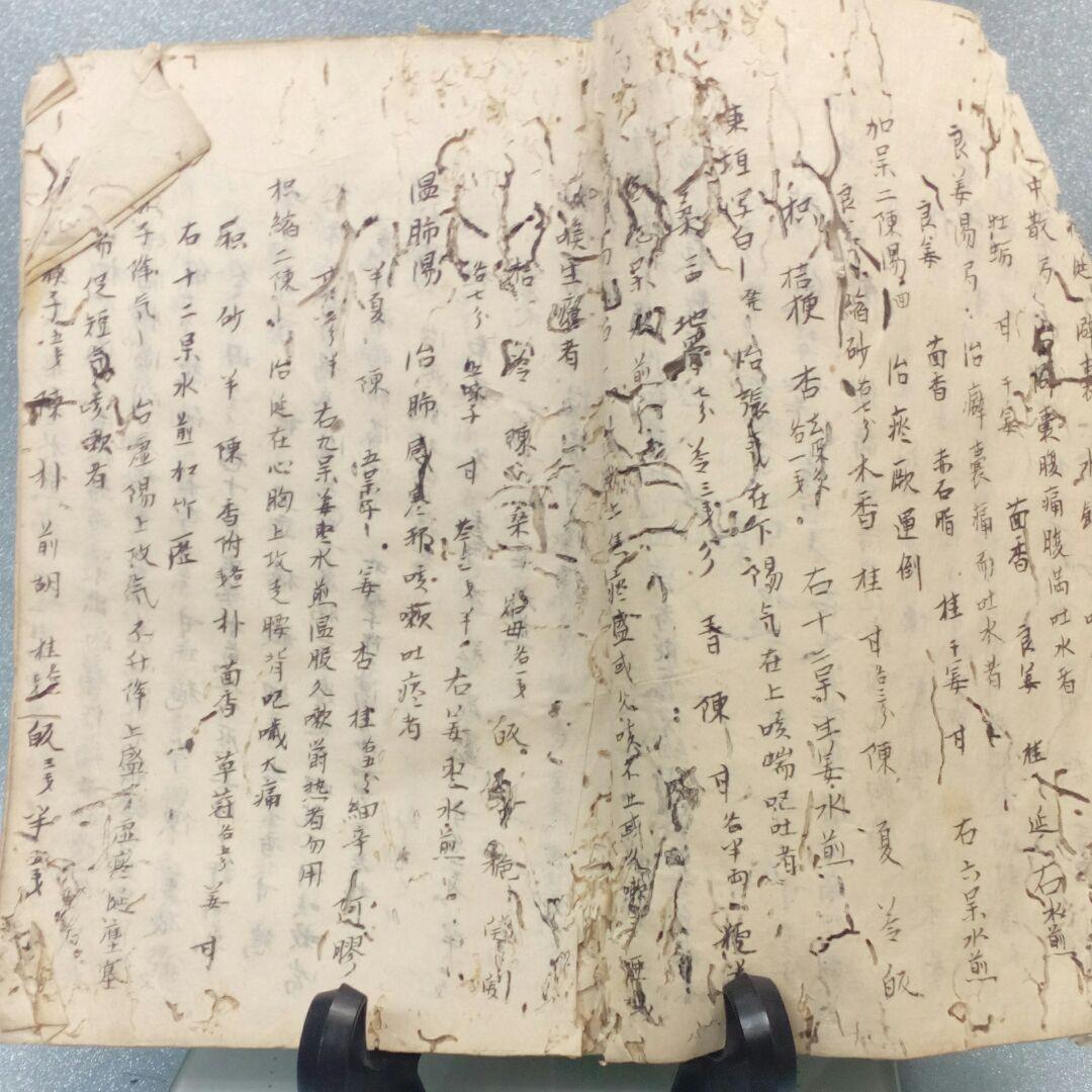 阿波國蔵出江戸時代文政年間直筆漢方医学古文書凄まじい虫喰い残骸ジャンク扱い当時物
