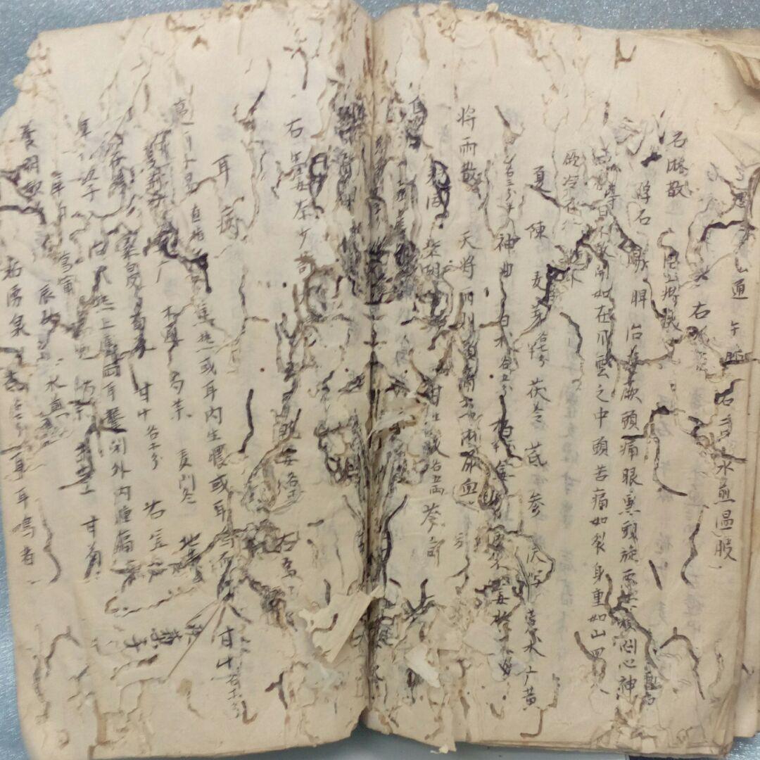 阿波國蔵出江戸時代文政年間直筆漢方医学古文書凄まじい虫喰い残骸ジャンク扱い当時物