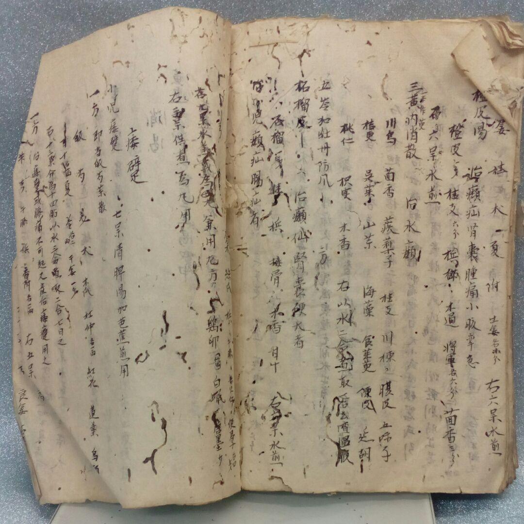 阿波國蔵出江戸時代文政年間直筆漢方医学古文書凄まじい虫喰い残骸ジャンク扱い当時物