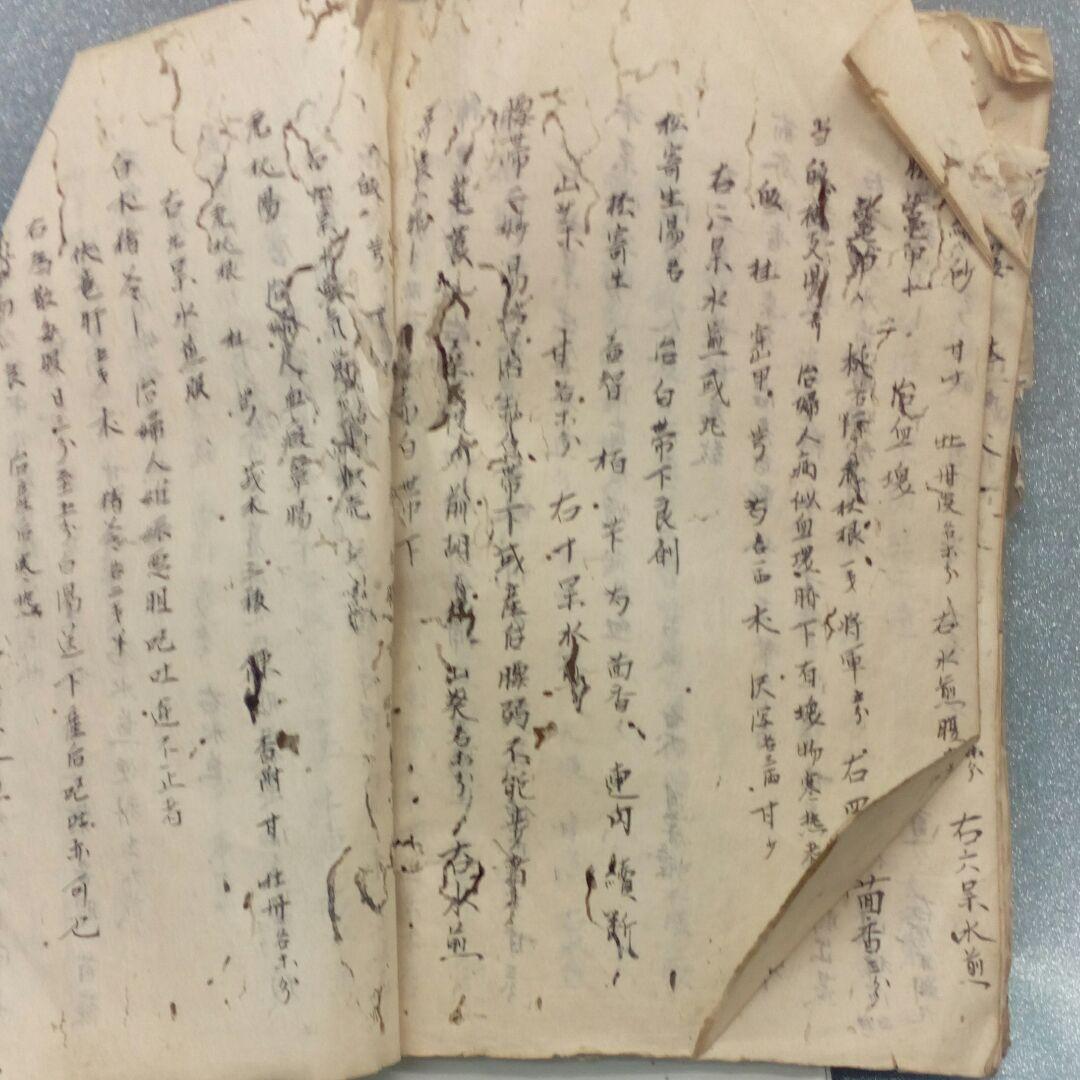 阿波國蔵出江戸時代文政年間直筆漢方医学古文書凄まじい虫喰い残骸ジャンク扱い当時物