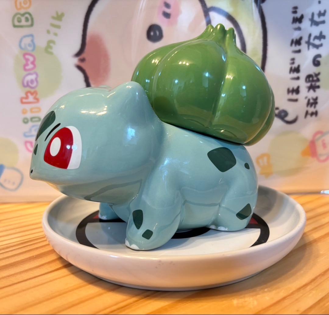 本日限定価格！フシギダネ 鉢植え 皿付き