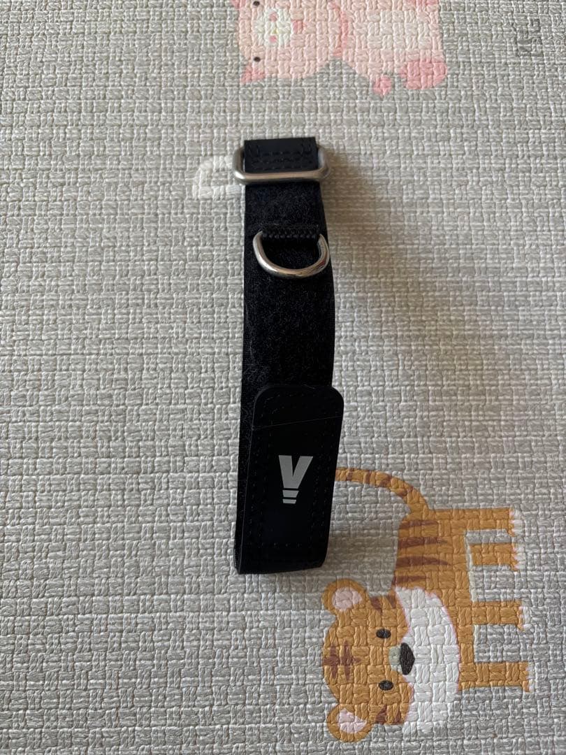 VITRUVE ジャンク品　最終値下げ