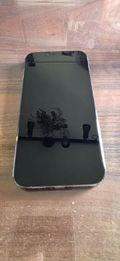 iPhone 13 Pro 256GB シエラブルー（SIMフリー） Apple iPhone 13 Pro 256GB SIMフリー [シエラブルー] 価格比較 - 価格.com