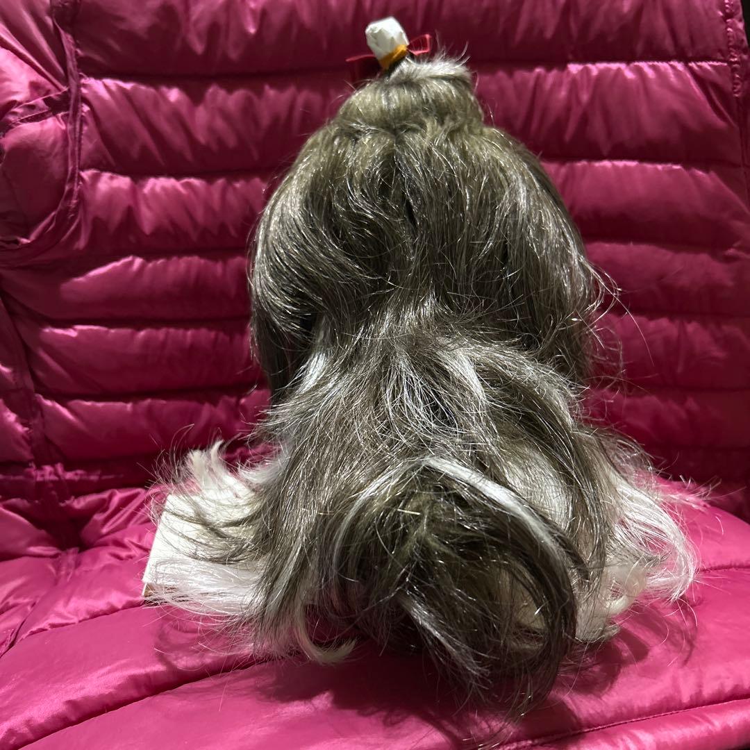 ドレッシーペット　ぬいぐるみ　犬　シーズー　 レア　希少　タグ付き❣️