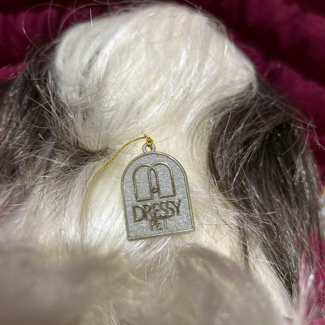 ドレッシーペット　ぬいぐるみ　犬　シーズー　 レア　希少　タグ付き❣️