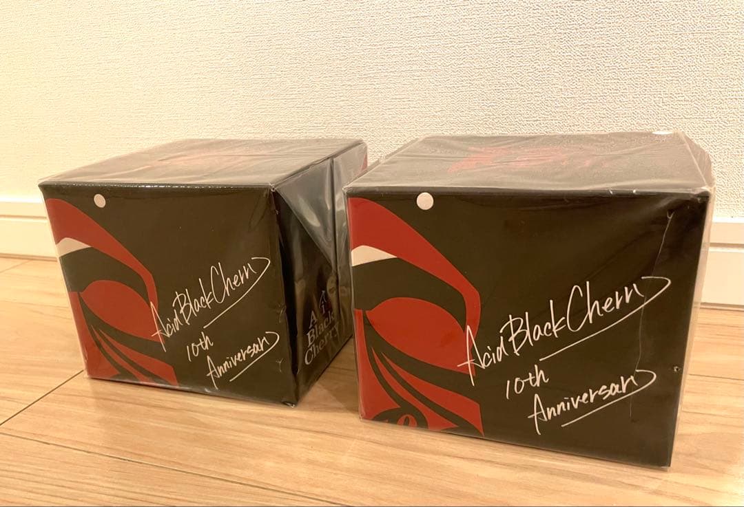 acid black cherry マグカップ　新品・未使用