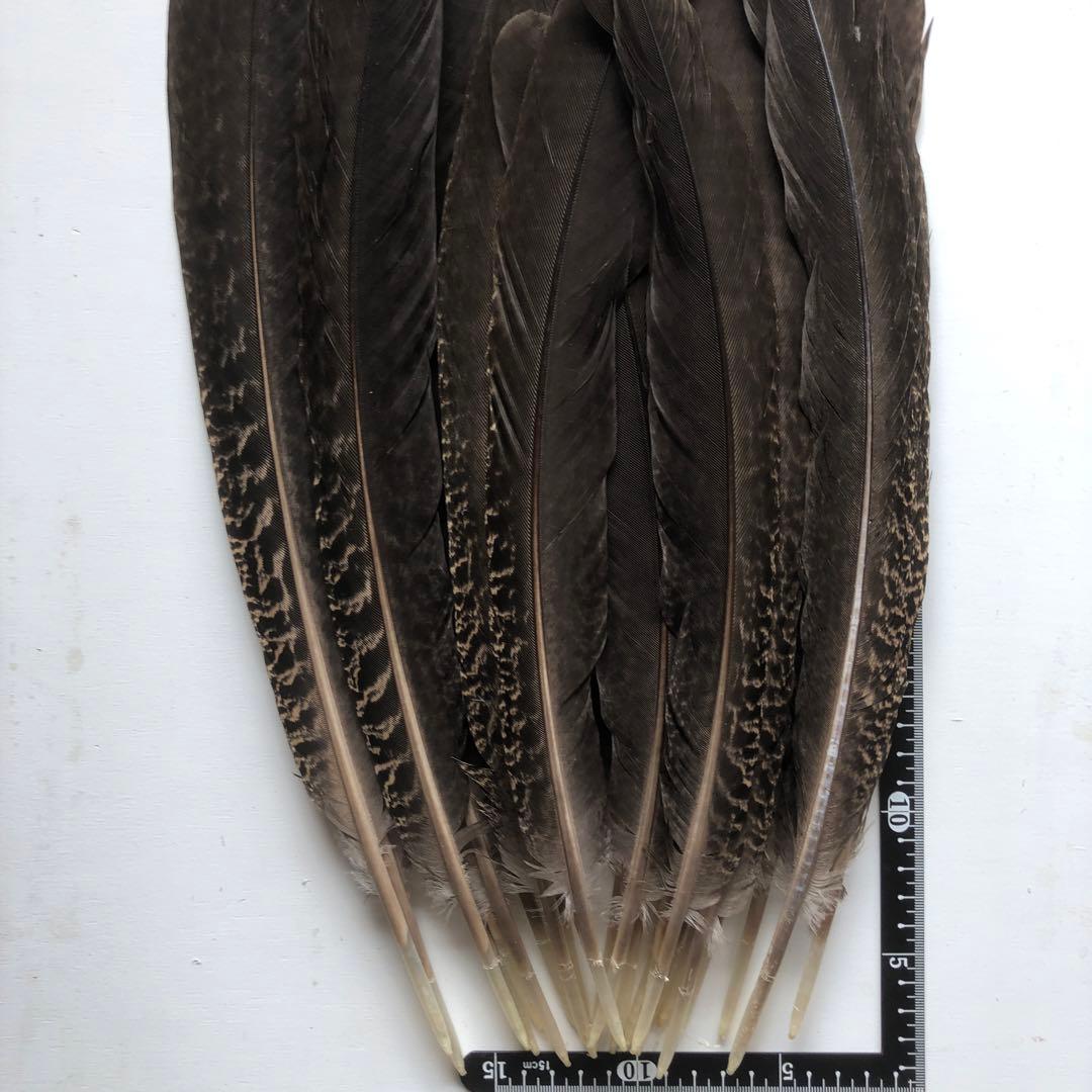 【H-40】天然　鳥　羽・羽根25枚★消毒済★ 鶏 むね挽肉 バラ凍結（鶏一番） 300g | 冷凍,鶏肉