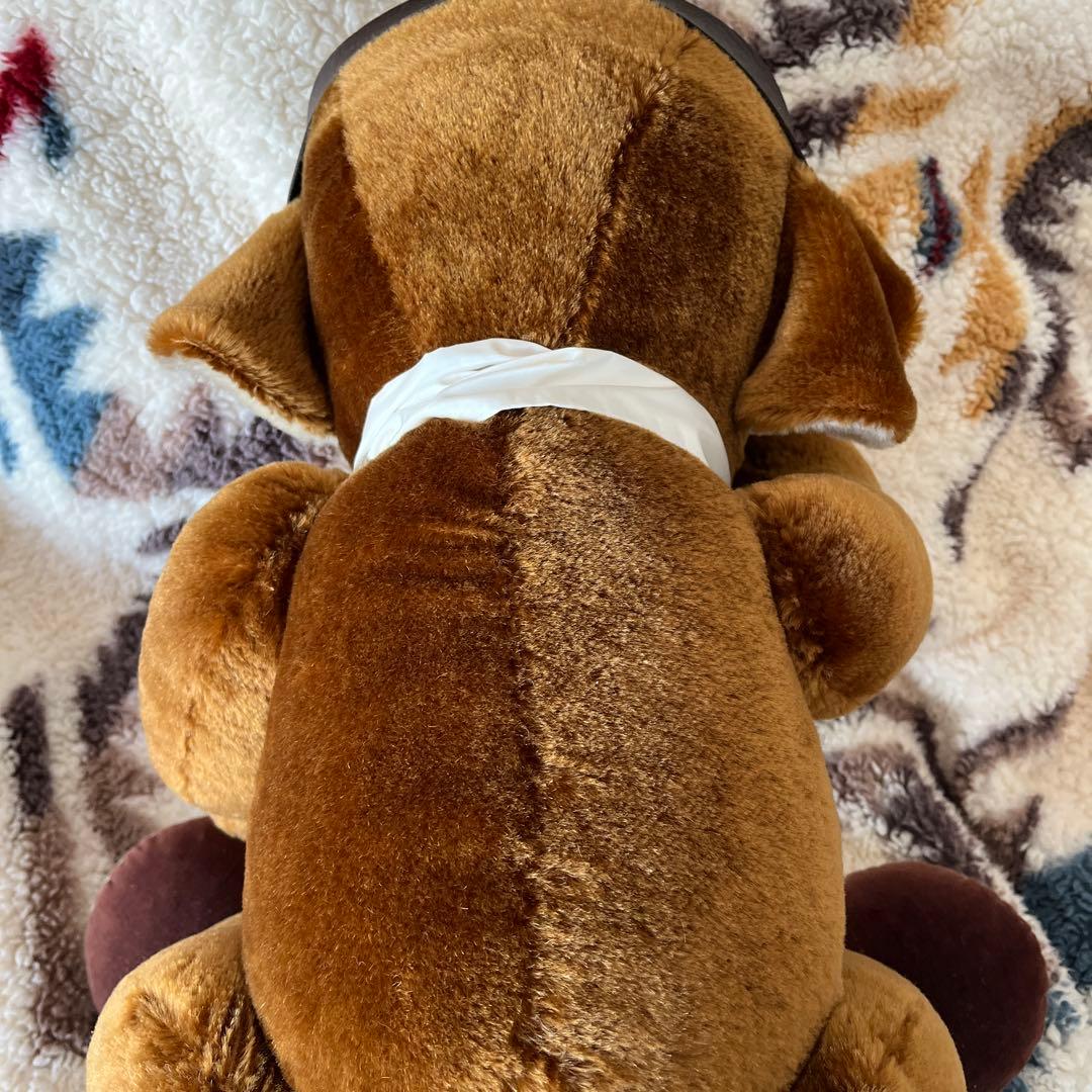 CHEK LAP KOK空港記念チーキー パイロットベア大