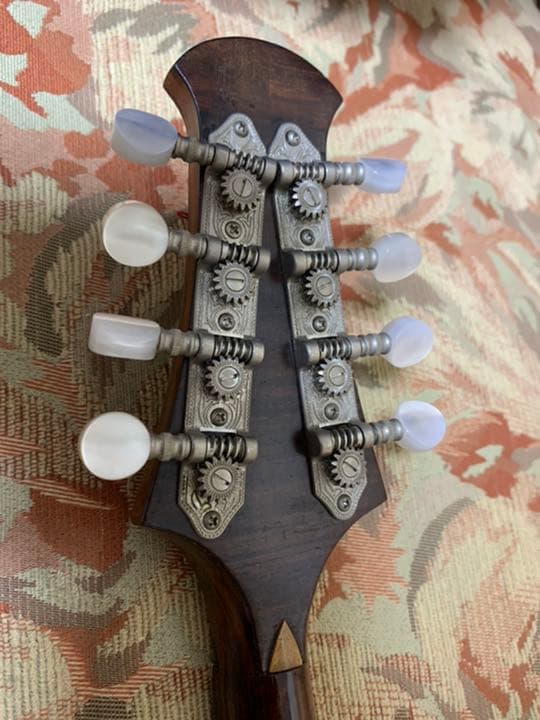 ラファエレ カラーチェ マンドリン Anno19 ケース付き - メルカリ