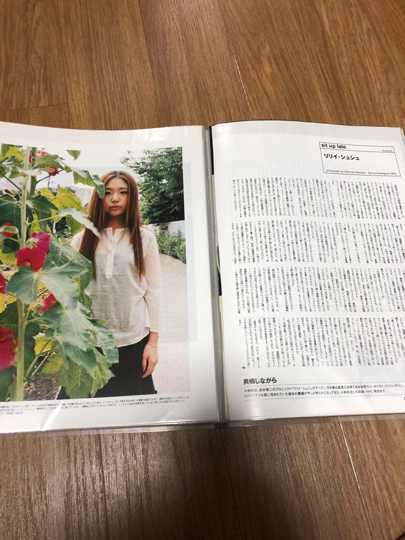 希少 リリイ・シュシュ シングル「グライド」「共鳴(空虚な石) 」B2ポスター