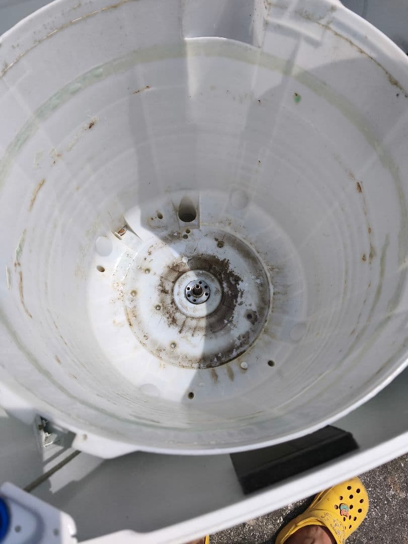 関東限定 条件にて無料配送 2021年 Haier 5.5㌔ 5.5kg 洗濯機