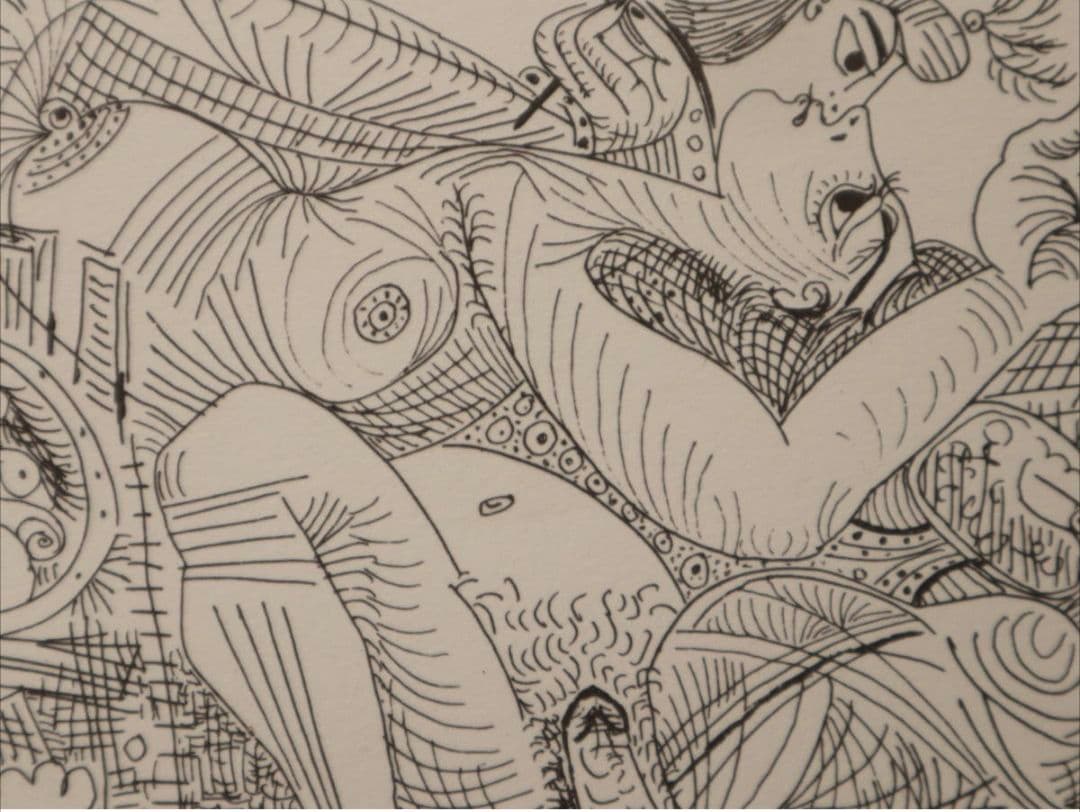 【未使用】【ピカソ 真作】真作保証紙COA付き✰大変希少なエッジング画集✰